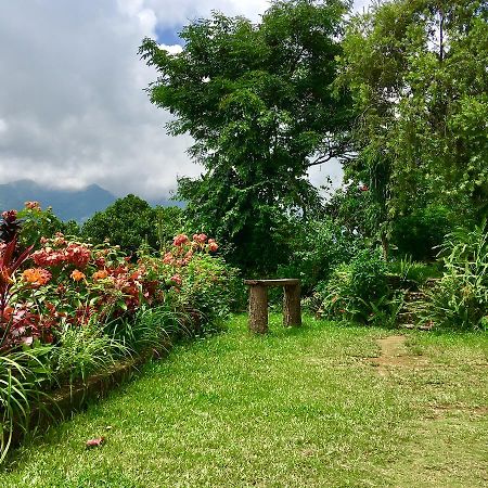 Hidden Paradise Guest House Pokhara Ngoại thất bức ảnh