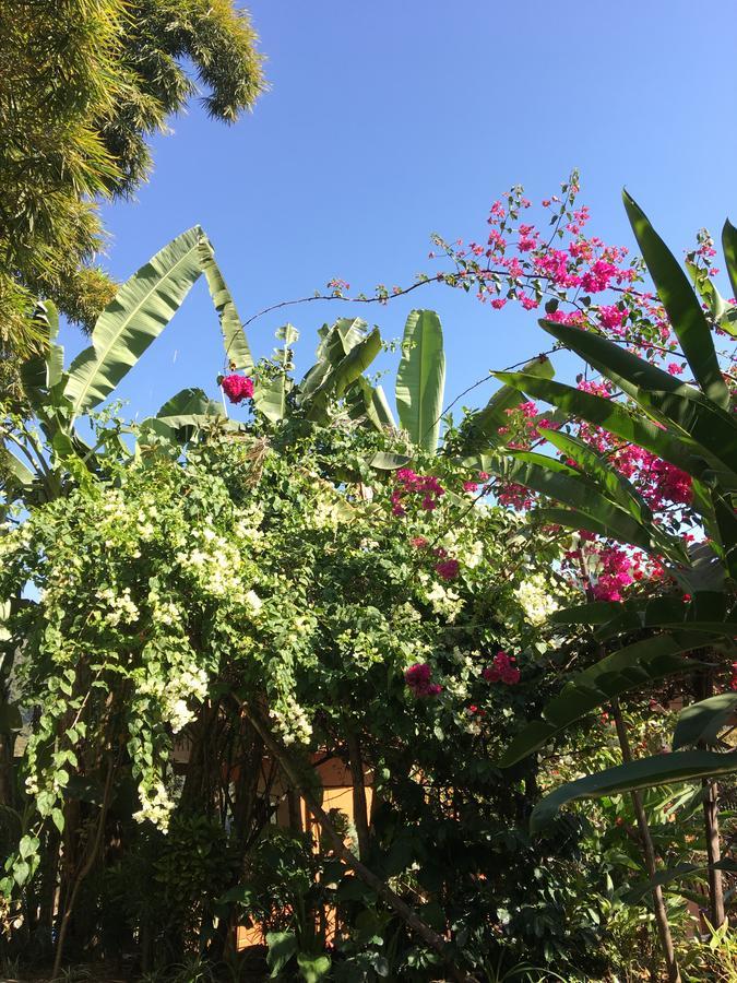 Hidden Paradise Guest House Pokhara Ngoại thất bức ảnh