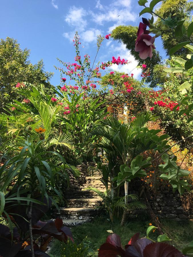 Hidden Paradise Guest House Pokhara Ngoại thất bức ảnh