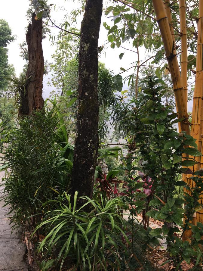 Hidden Paradise Guest House Pokhara Ngoại thất bức ảnh
