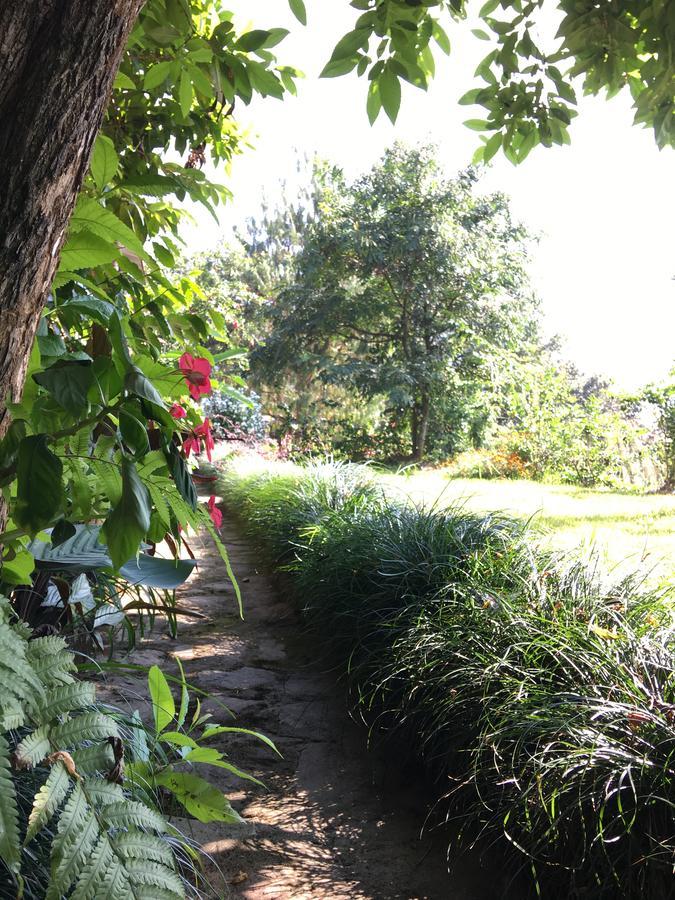 Hidden Paradise Guest House Pokhara Ngoại thất bức ảnh