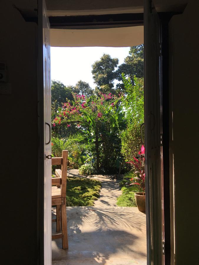 Hidden Paradise Guest House Pokhara Ngoại thất bức ảnh