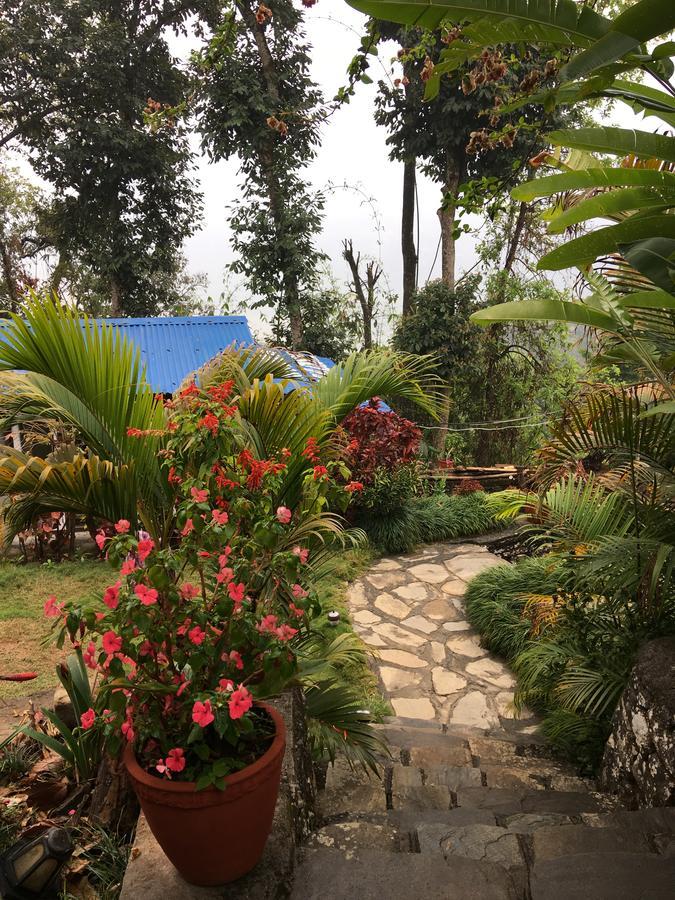 Hidden Paradise Guest House Pokhara Ngoại thất bức ảnh
